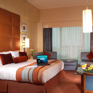 Al Manshar Rotana Hotel