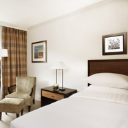 Hyatt Regency London The Churchill