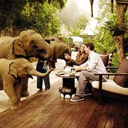 Four Seasons Tented Camp Golden Triangle