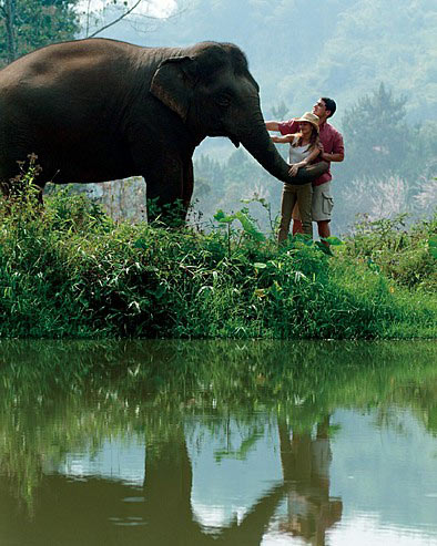 Four Seasons Tented Camp Golden Triangle Four Seasons Tented Camp Golden Triangle