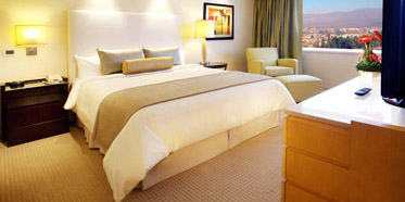 InterContinental Hotel Mendoza