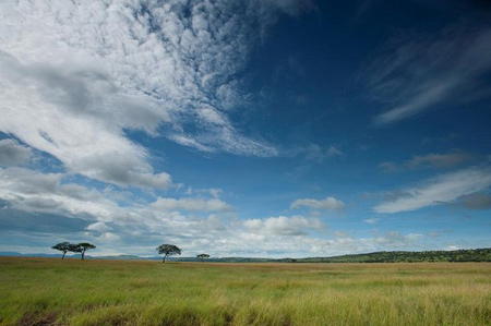 Serengeti Serena Safari Lodge