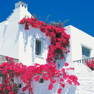 Yria Resort