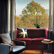 Belgraves London
