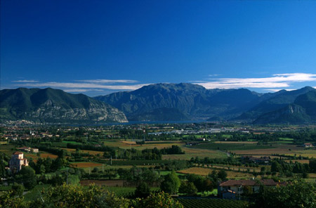 L'Albereta