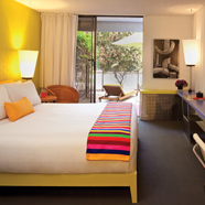 The Saguaro Scottsdale