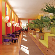 The Saguaro Scottsdale