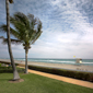 The Chesterfield Palm Beach