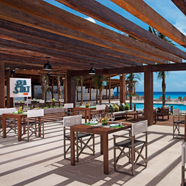 Secrets The Vine Cancun