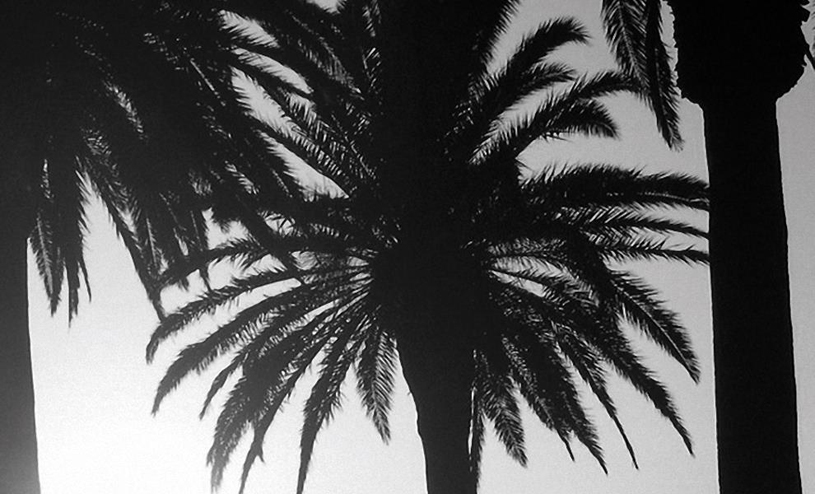 Delano Marrakech
