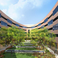 Twelve at Hengshan