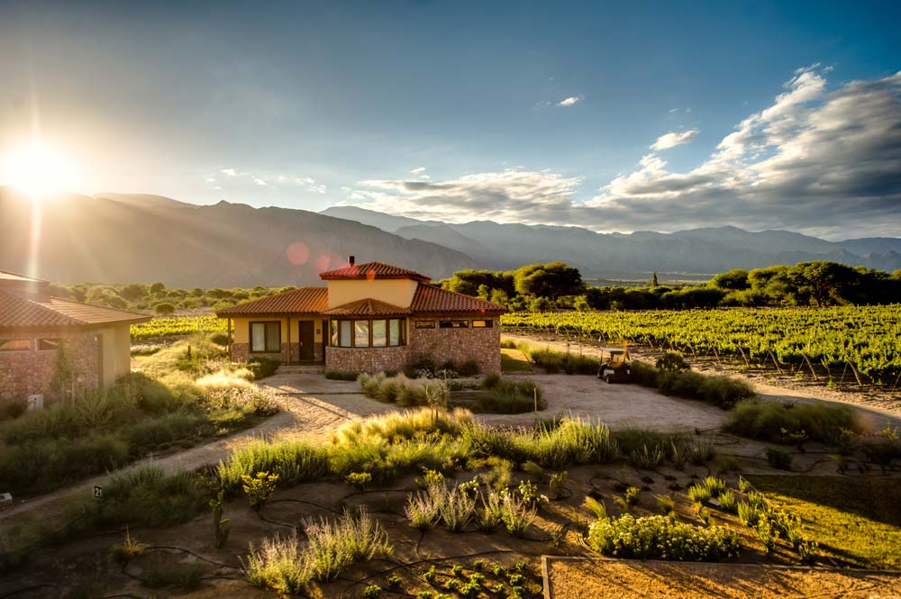 Villa at Grace Cafayate Villa at Grace Cafayate