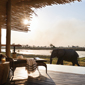 WildlifeBelmond Safaris, Botswana