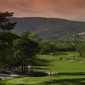 The Terre Blanche Resort