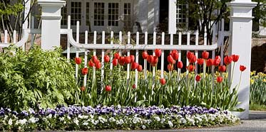 Woodstock Inn And Resort