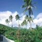 View behind Hotel towards Mountains