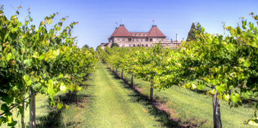 Chateau Elan Winery and Resort