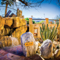 Spa Entrance at Tanque Verde Ranch, AZ