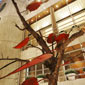 Hotel Claris Barcelona