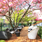 Outdoor Lounge at Hotel Okura Amsterdam