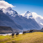 Explore on Horseback at Azur Lodge, Queenstown