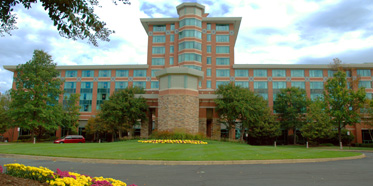 Lansdowne Resort