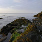 The Chanler at Cliff Walk