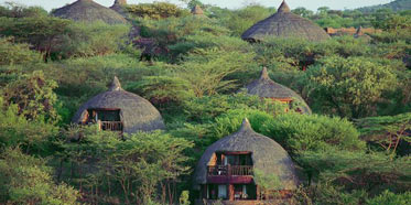 Serengeti Serena Safari Lodge