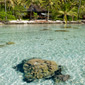 Lagoon at Vahine Island