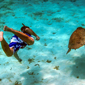 Snorkeling Activity at Turtle Inn, Stann Creek District, Belize