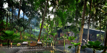 Private Salt Water Pool at Capella Ubud, Indonesia