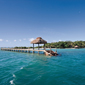 Dolphin Island, Fiji