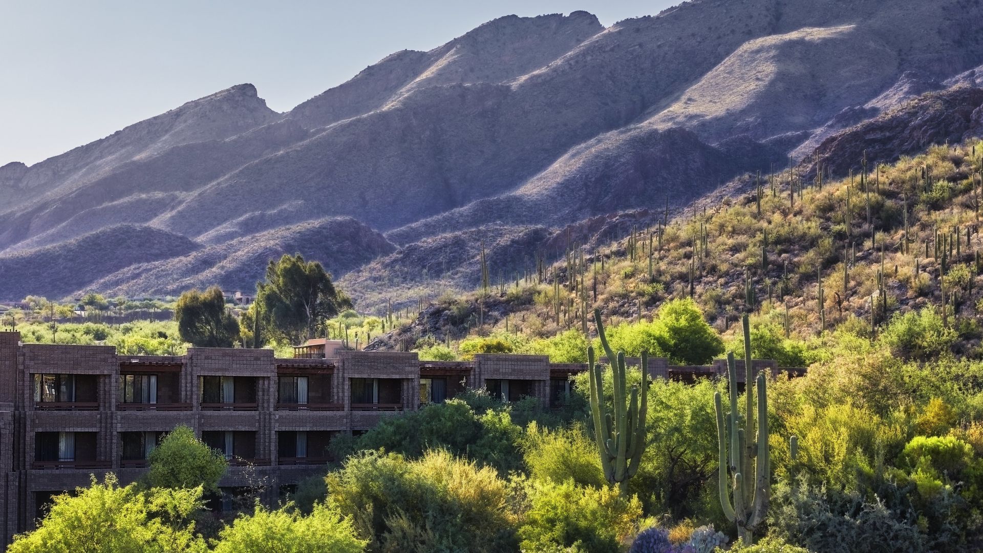 Loews Ventana Canyon Resort