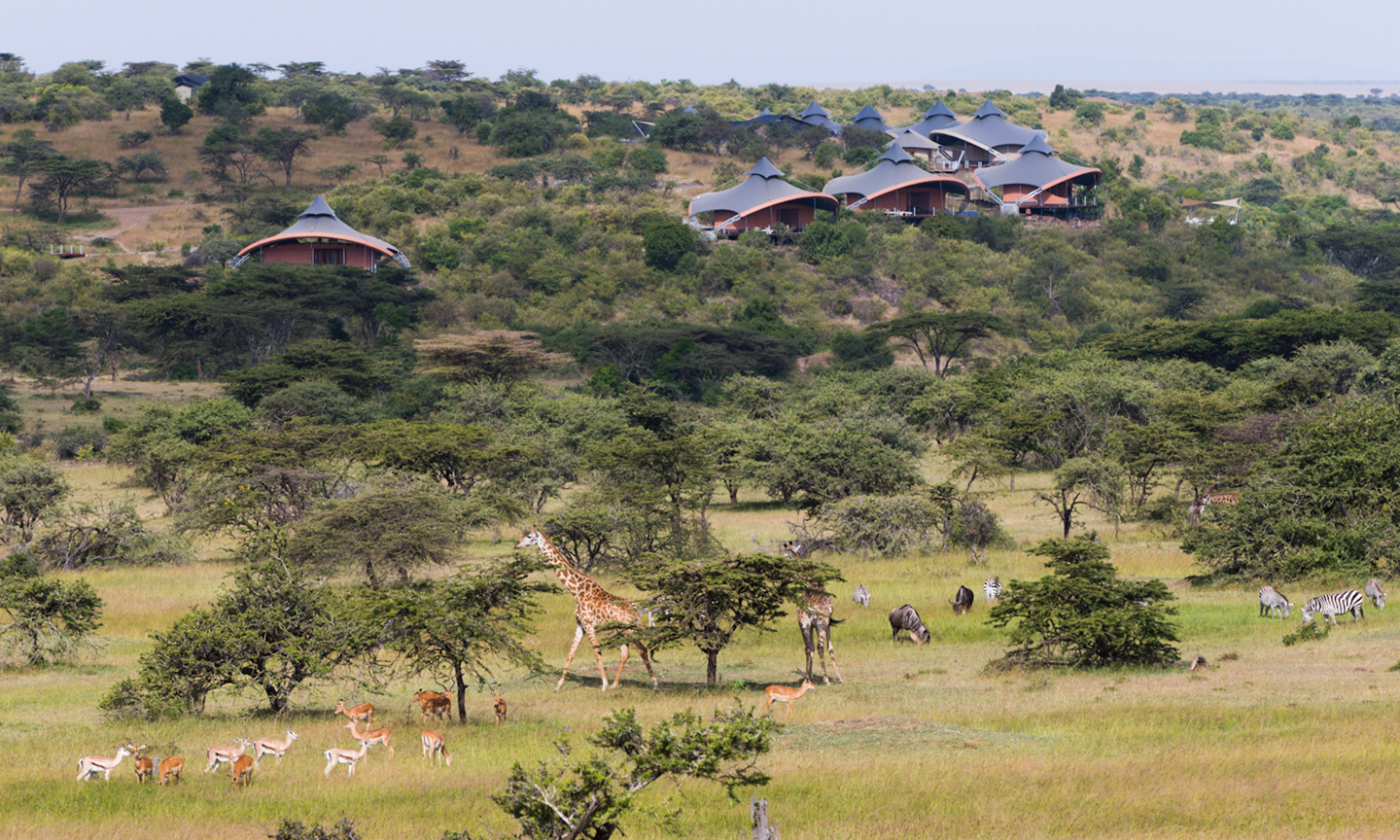 Mahali Mzuri Safari Camp