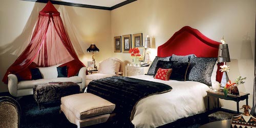 Hotel-ZaZa-Dallas_Erotica_500x250.jpg