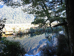 New Zealand reflections