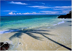 Turtle Island