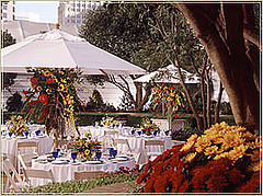 The Terrace at the Ritz Carlton SF