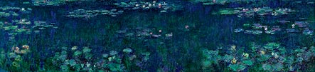 Waterlilies