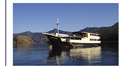 Komodo Expedition