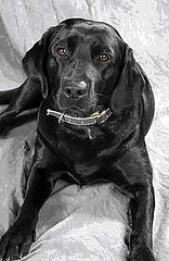 Catie Copley at Fairmont Copley Plaza