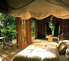 Lake Manyara Tree House