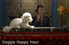 Doggie Happy Hour at Hotel Monaco