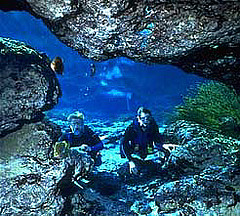 Ginnie Springs scuba diving