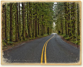 Twilight Tourism Washington State