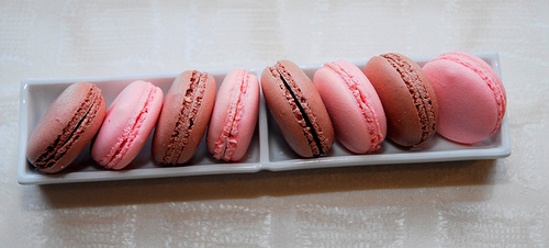 Macarons at Adour Restaurant, St. Regis Washington DC