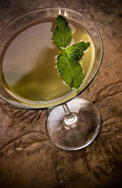 Treetini at Morgans Hotel Group