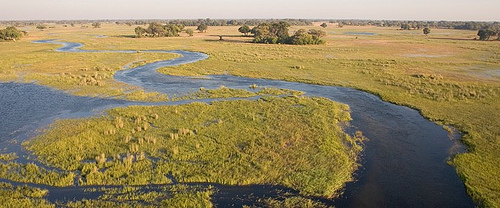 Okavango Delta, Botswana