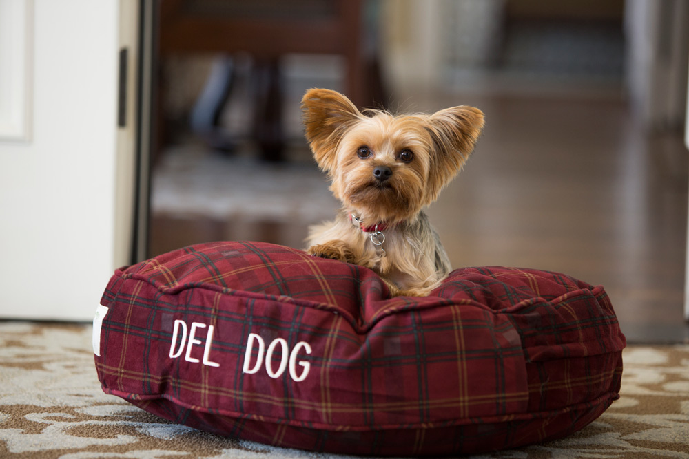 Pet-Friendly Hotel del Coronado