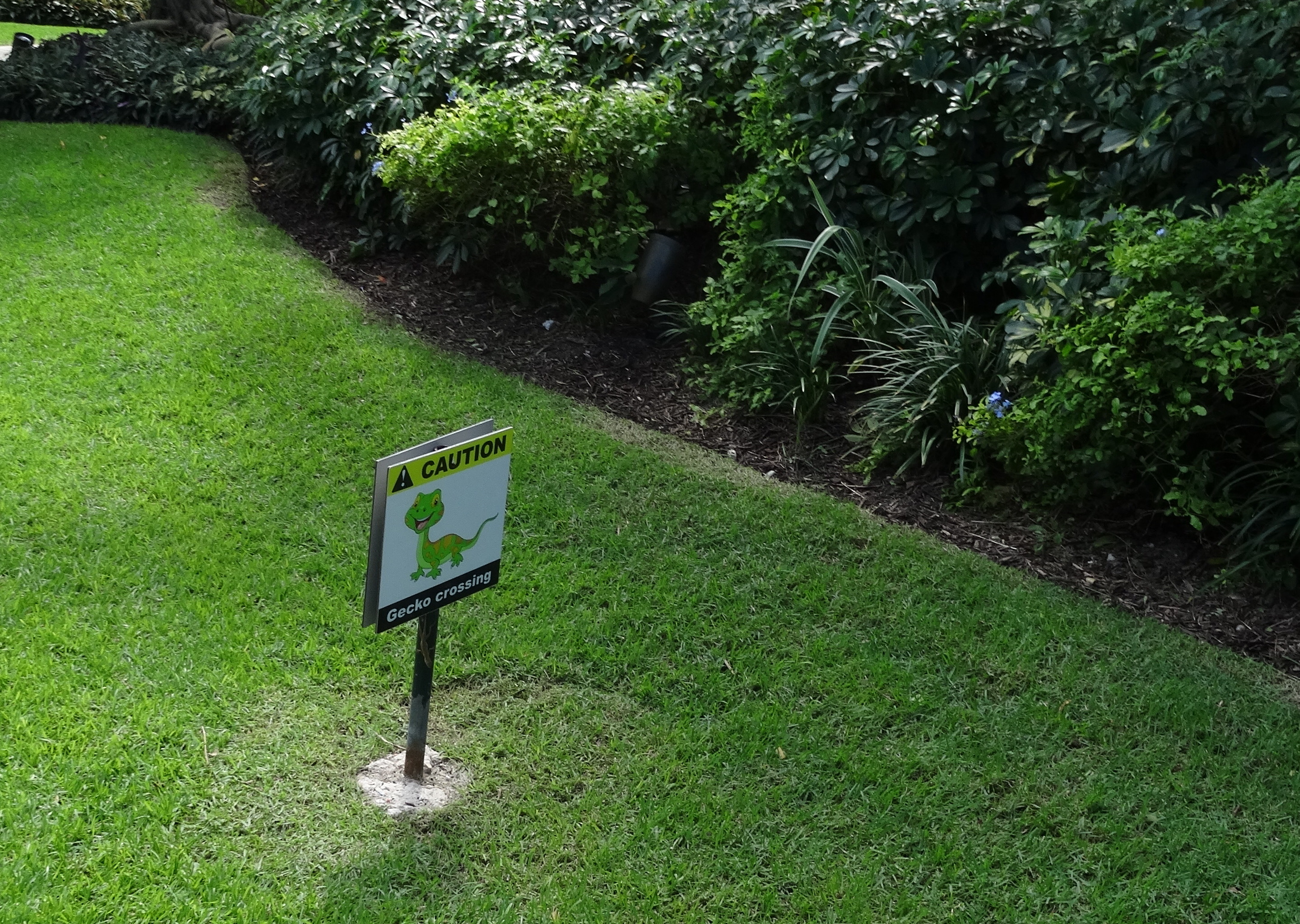 Gecko Crossing Sign at Beaches Turks and Caicos